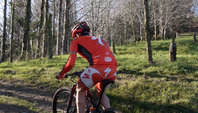 captura-de-pantalla-2016-12-30-a-las-18-11-01