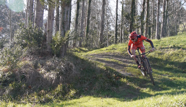 captura-de-pantalla-2016-12-30-a-las-18-11-38