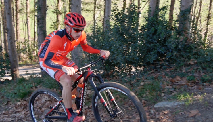 captura-de-pantalla-2016-12-30-a-las-18-13-01