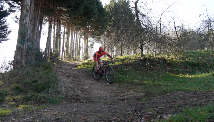 captura-de-pantalla-2016-12-30-a-las-18-13-52