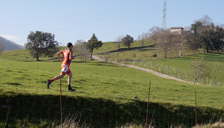 captura-de-pantalla-2016-12-30-a-las-18-17-40