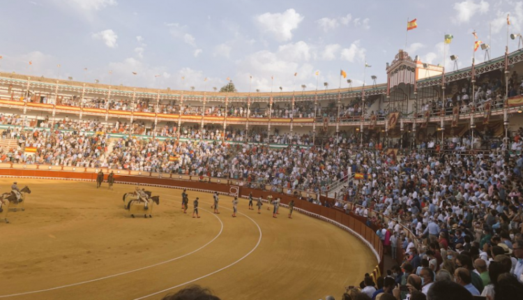 Verguenza torera